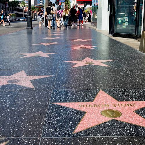 A photo of the Hollywood Walk of Fame, with various stars embedded in the pavement, one labeled 